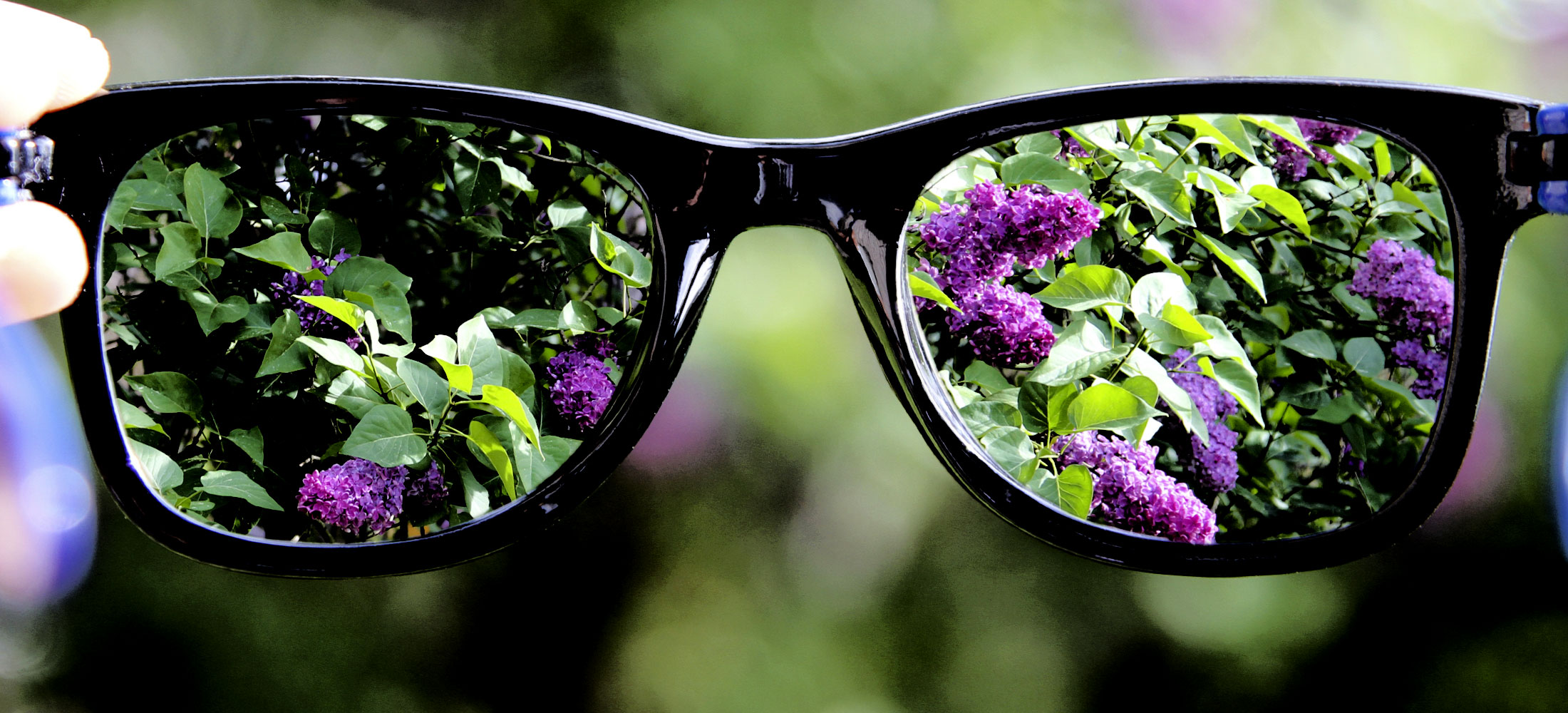 large-image-of-eye-glasses-and-purple-flowers